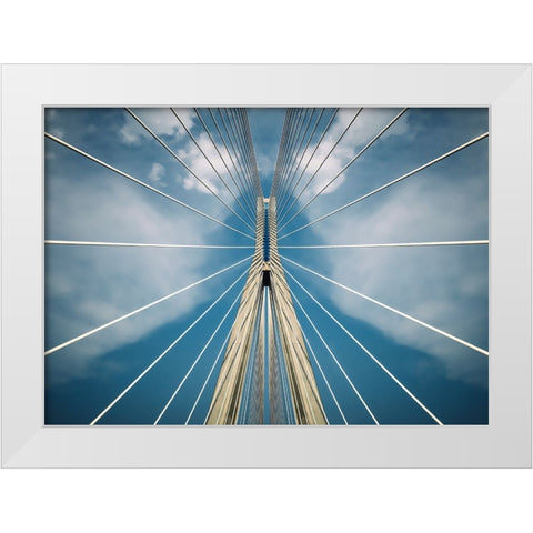 Spider White Modern Wood Framed Art Print by T, Nico