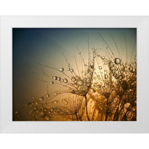Tender Is The Night White Modern Wood Framed Art Print by Lazarov, Dimitar