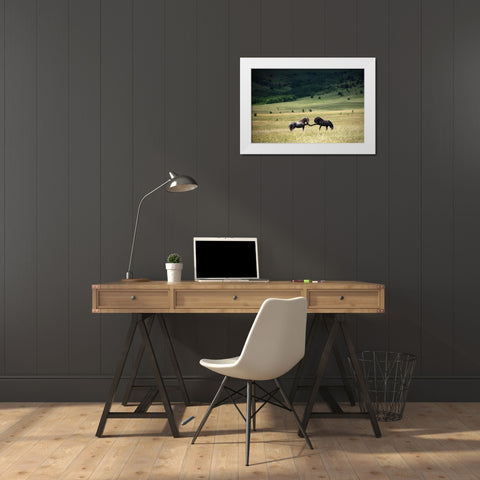 Peace White Modern Wood Framed Art Print by Vidak, Vedran