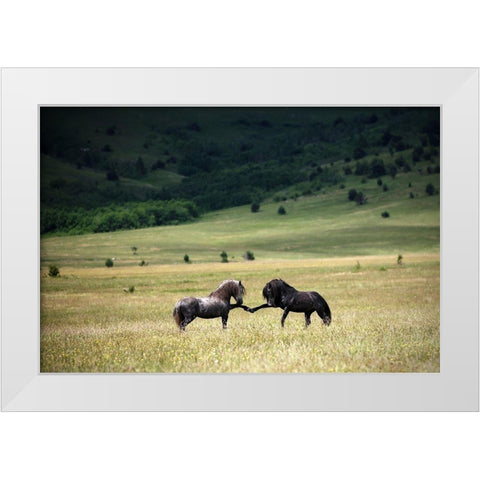 Peace White Modern Wood Framed Art Print by Vidak, Vedran