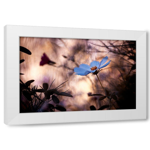 Lindiffacrence White Modern Wood Framed Art Print by Bravin, Fabien