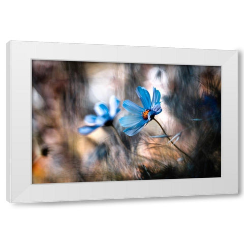 The Two Of Us White Modern Wood Framed Art Print by Bravin, Fabien