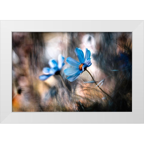 The Two Of Us White Modern Wood Framed Art Print by Bravin, Fabien