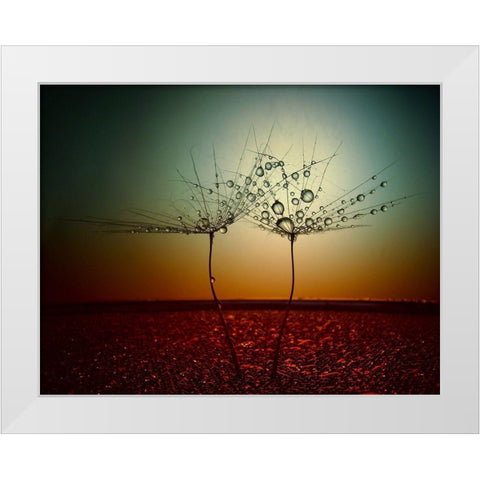 Fire And Water White Modern Wood Framed Art Print by Lazarov, Dimitar