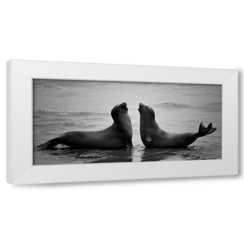 Dating White Modern Wood Framed Art Print by Tjandra, C.S.