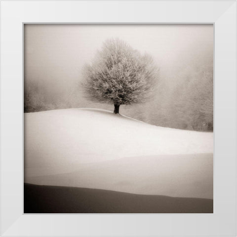 Winter Degradee White Modern Wood Framed Art Print by SC