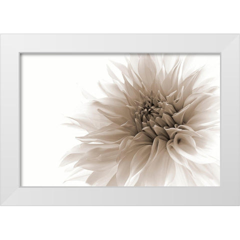 Dignified White Modern Wood Framed Art Print by Wettstein, Priska