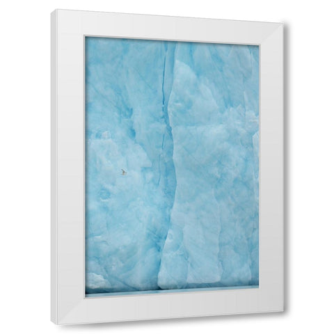 Kittiwake Flying Into The Blue White Modern Wood Framed Art Print by Adams, Yves