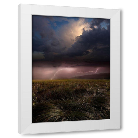 Summer Lights White Modern Wood Framed Art Print by Schumacher, Nicolas