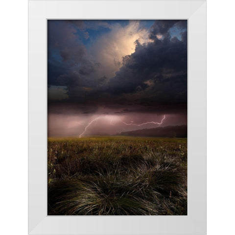 Summer Lights White Modern Wood Framed Art Print by Schumacher, Nicolas