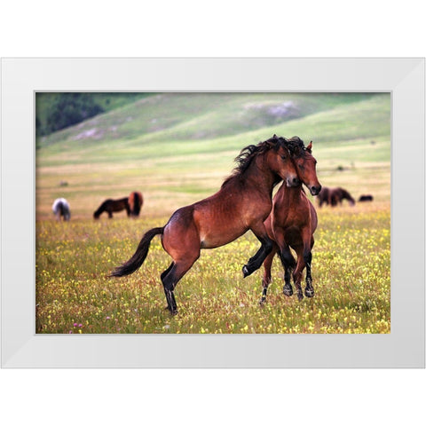 The Game White Modern Wood Framed Art Print by Vidak, Vedran