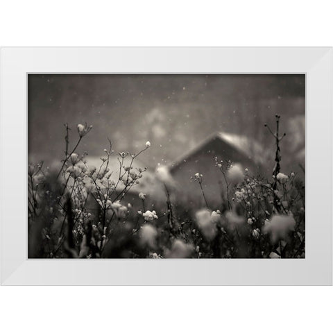 Winter Story White Modern Wood Framed Art Print by PhotoCosma