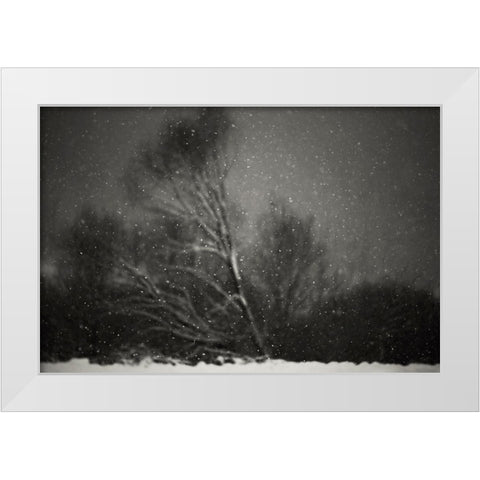 Winter White Modern Wood Framed Art Print by PhotoCosma