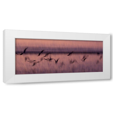 Flight White Modern Wood Framed Art Print by Abildgren, Rasmus