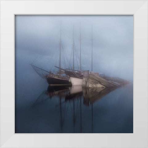 Pirates White Modern Wood Framed Art Print by Dadic, Bernardo