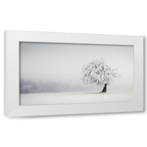 Silence White Modern Wood Framed Art Print by Wonisch, Andreas