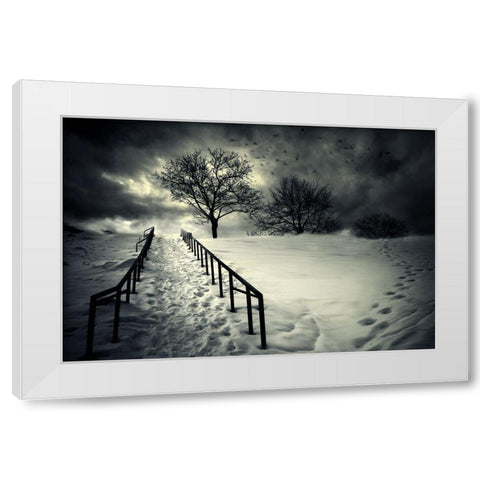 Stairs To The Sanctuary Ii White Modern Wood Framed Art Print by David Senechal Photographie