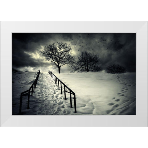 Stairs To The Sanctuary Ii White Modern Wood Framed Art Print by David Senechal Photographie