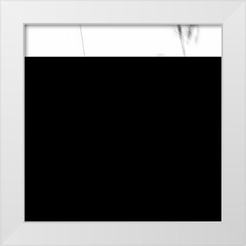 Slalom White Modern Wood Framed Art Print by Cheli, Ivano