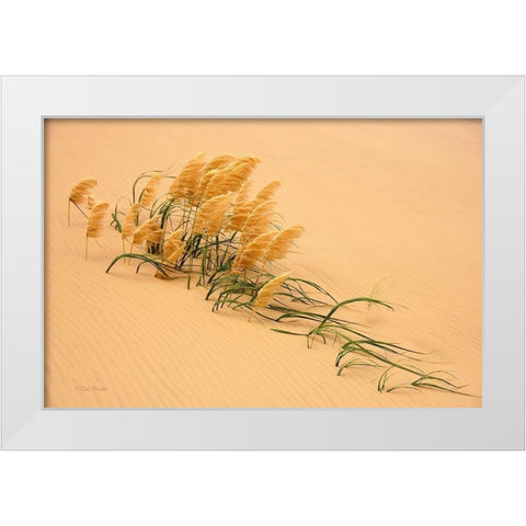 Pampas Grass In Sand Dune White Modern Wood Framed Art Print by Bostek, Carl