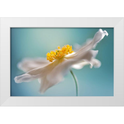 Autumn Reverie White Modern Wood Framed Art Print by Parker, Jacky