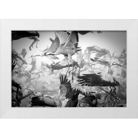 Chaos White Modern Wood Framed Art Print by Meirovich, Ido