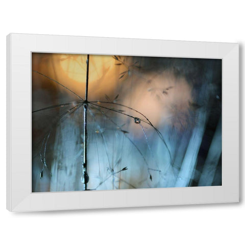 Almost Dark White Modern Wood Framed Art Print by Westum, Heidi