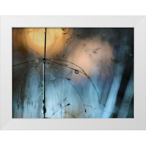 Almost Dark White Modern Wood Framed Art Print by Westum, Heidi