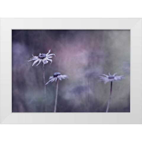 End Of Season White Modern Wood Framed Art Print by Heemskerk, Bernadette