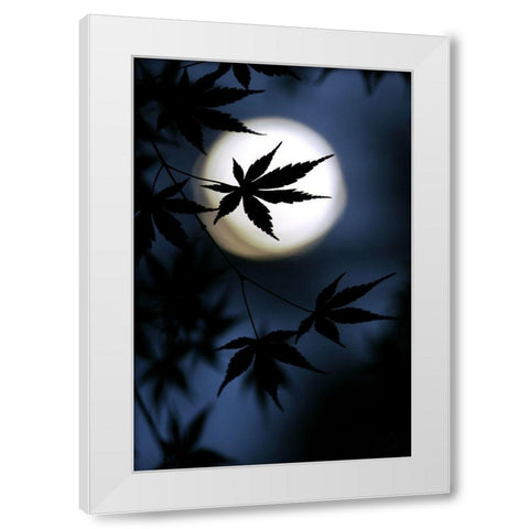 Color Of Japan White Modern Wood Framed Art Print by Tomihisa, Kouji