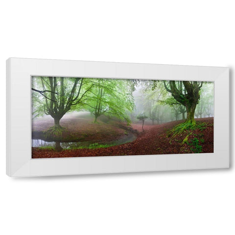 The Forest Maravillador Iii White Modern Wood Framed Art Print by Pixelecta, Juan