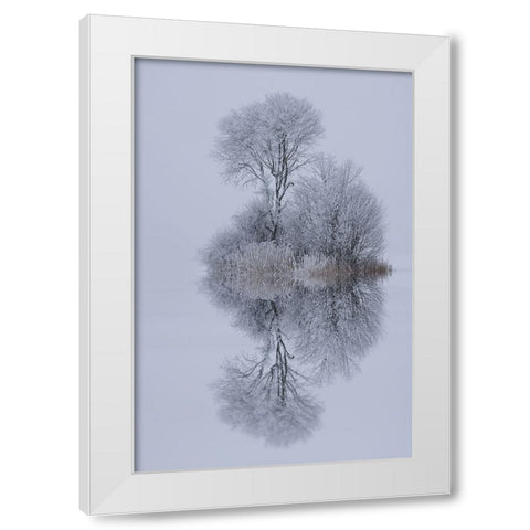 Winter Stillness White Modern Wood Framed Art Print by Maier, Norbert
