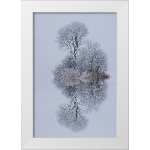 Winter Stillness White Modern Wood Framed Art Print by Maier, Norbert