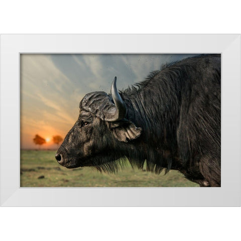 Imagine White Modern Wood Framed Art Print by Flour, Piet