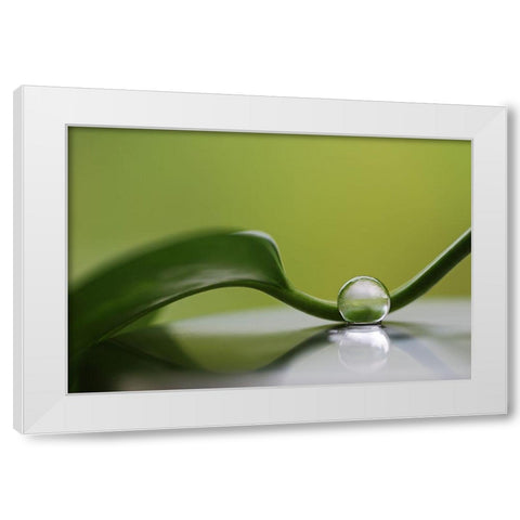 Green Harmony White Modern Wood Framed Art Print by Westum, Heidi