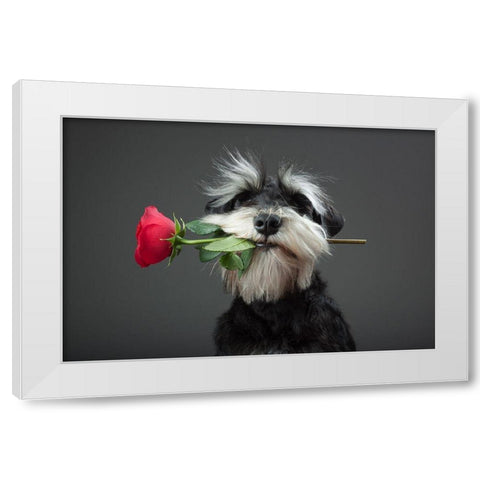 Tango Dancer White Modern Wood Framed Art Print by Mahmutovic, Adnan