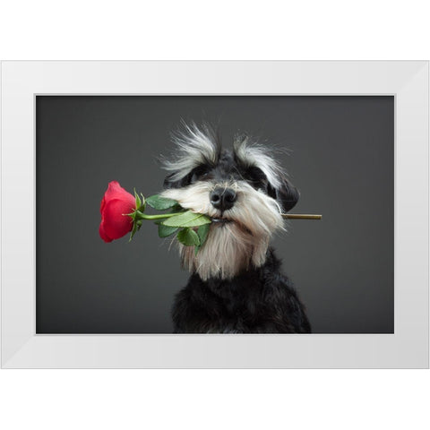 Tango Dancer White Modern Wood Framed Art Print by Mahmutovic, Adnan