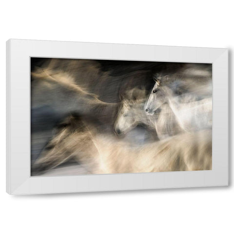 In Motion White Modern Wood Framed Art Print by Malovrh, Milan