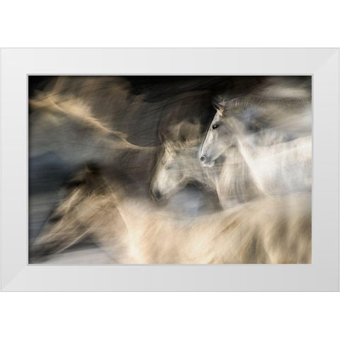 In Motion White Modern Wood Framed Art Print by Malovrh, Milan