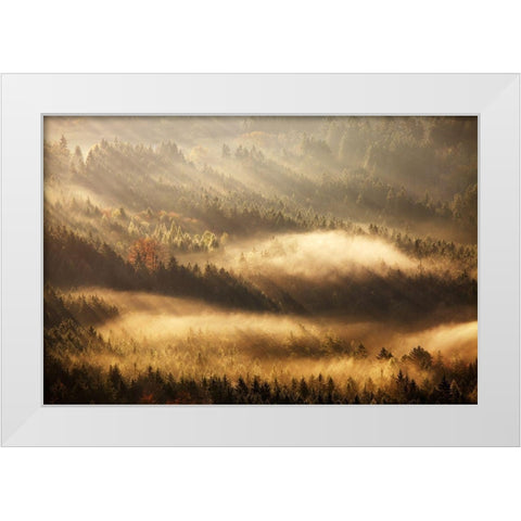 Autumn Rays White Modern Wood Framed Art Print by Rak, Martin