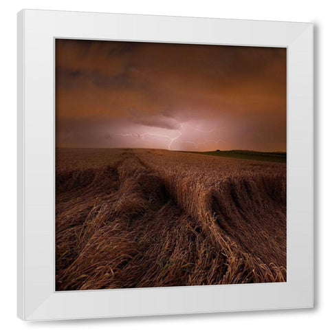 Morning Storm White Modern Wood Framed Art Print by Schumacher, Nicolas