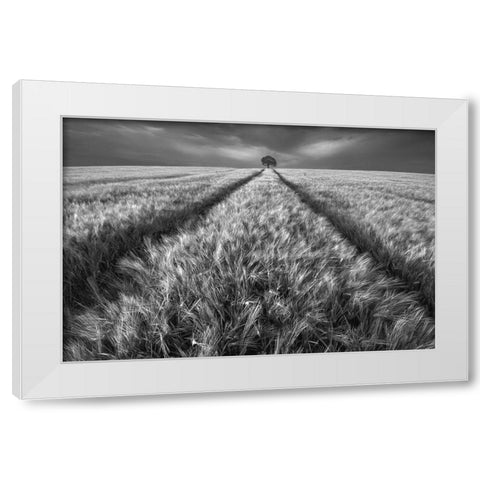 Alone White Modern Wood Framed Art Print by Krol, Piotr