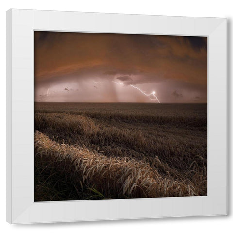 Harvest Lights White Modern Wood Framed Art Print by Schumacher, Nicolas