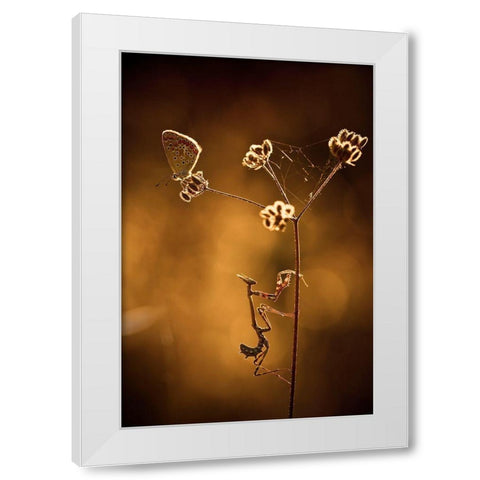 All I Want Is You White Modern Wood Framed Art Print by Bravin, Fabien