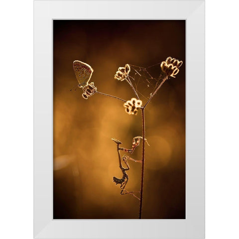 All I Want Is You White Modern Wood Framed Art Print by Bravin, Fabien