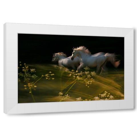 Duel White Modern Wood Framed Art Print by Malovrh, Milan