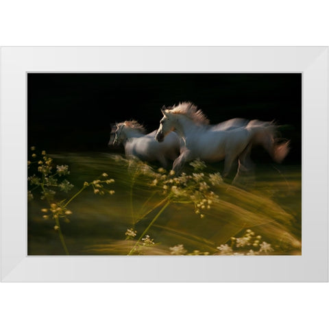 Duel White Modern Wood Framed Art Print by Malovrh, Milan