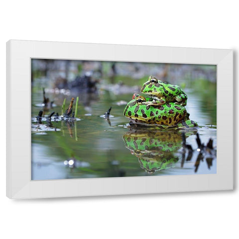 The Love White Modern Wood Framed Art Print by Goh, Shikhei