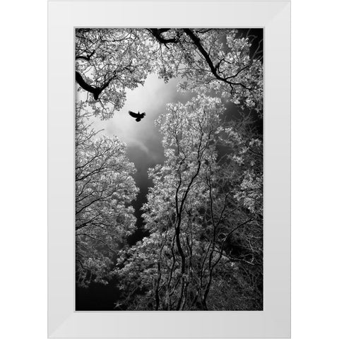 Flight White Modern Wood Framed Art Print by Stamenkovic, Goran