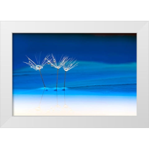 Blue Landscape White Modern Wood Framed Art Print by Westum, Heidi